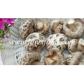 Dried Flower Mushroom, Dried Vegetable, China Shiitake Mushroom